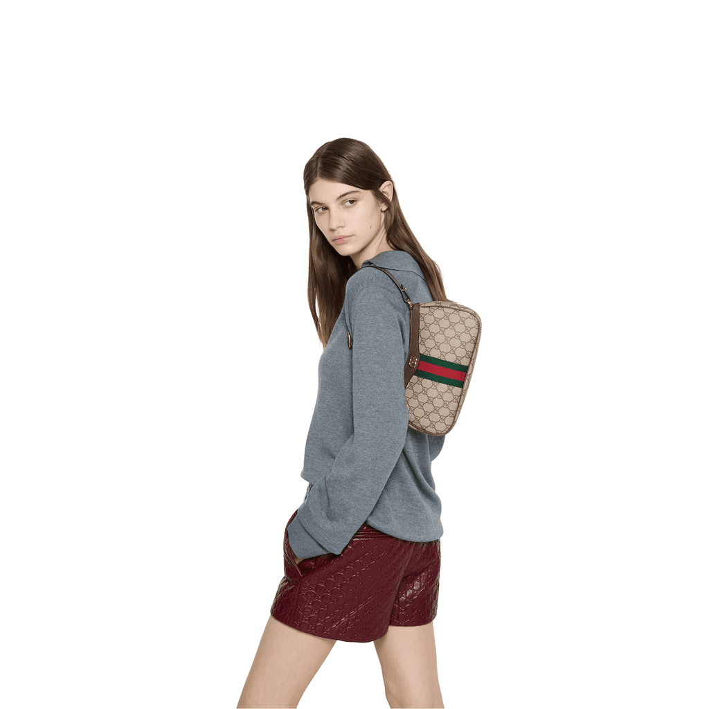 Gucci Ophidia small shoulder bag