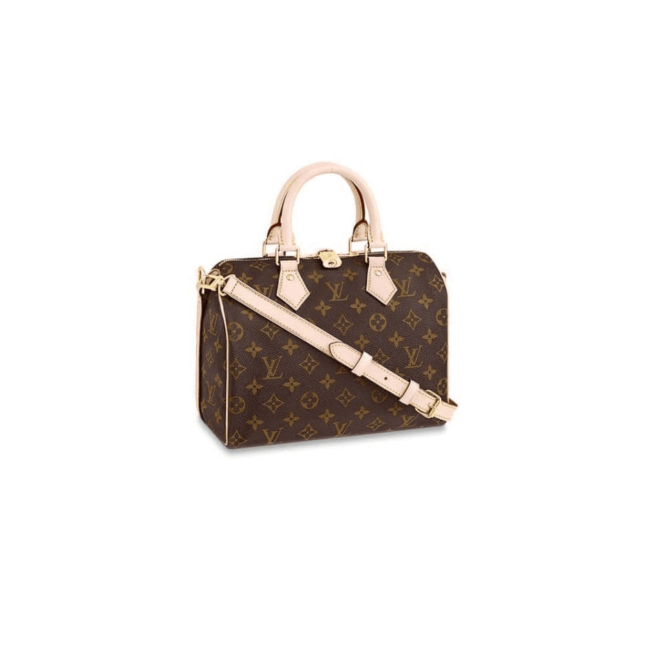 LOUIS VUITTON SPEEDY BANDOULIERE 25 M41113