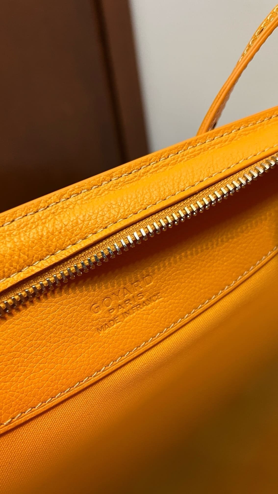 Goyard Hirondelle bag